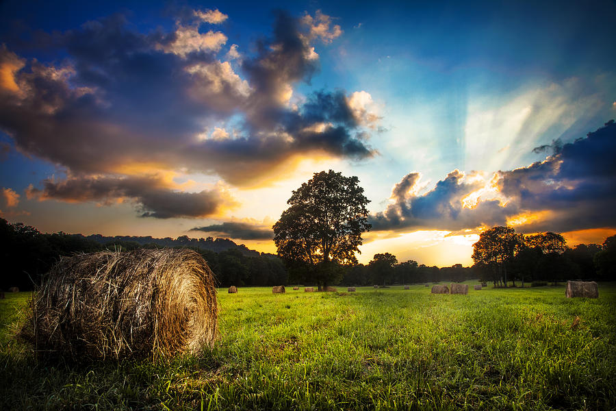 Sunset Chasing Photograph by Lucas Foley