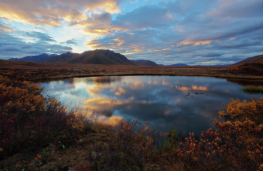 Sunset Clouds Reflected In A Small Pond Photograph by Robert Postma / Design Pics