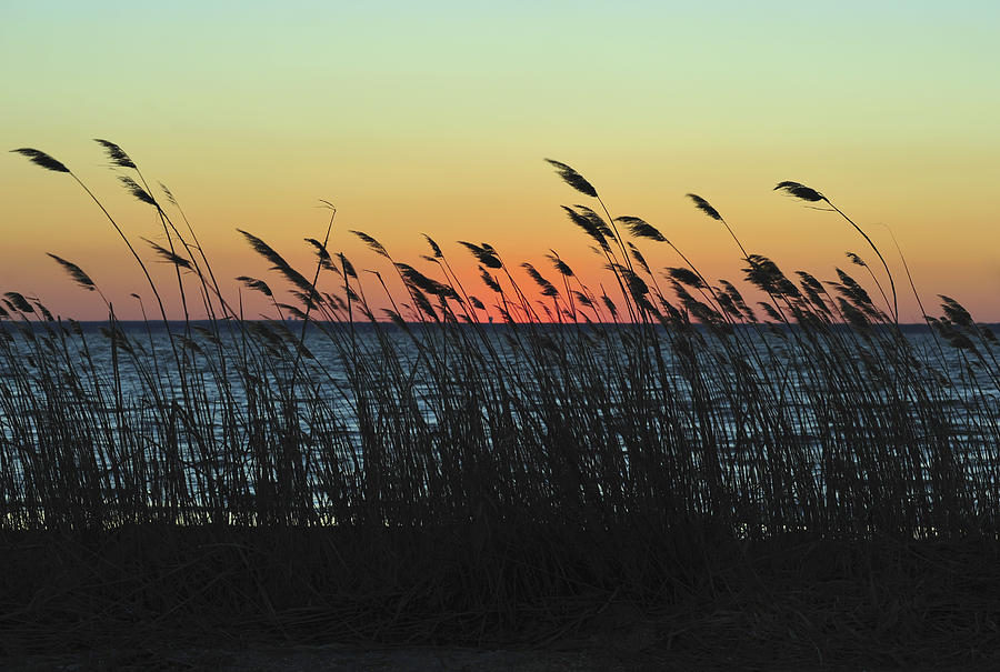 Sunset Colors Island Beach State Park NJ Photograph by Terry DeLuco