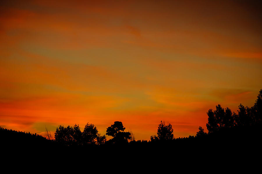 Sunset Colors on Fire Photograph by Penny Lisowski