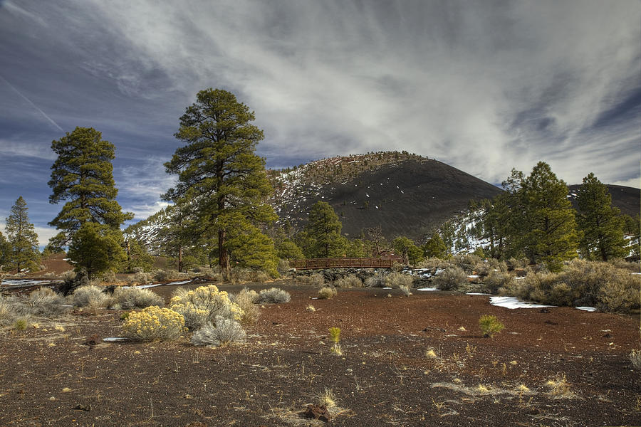 Sunset Crater Photograph by Sue Cullumber