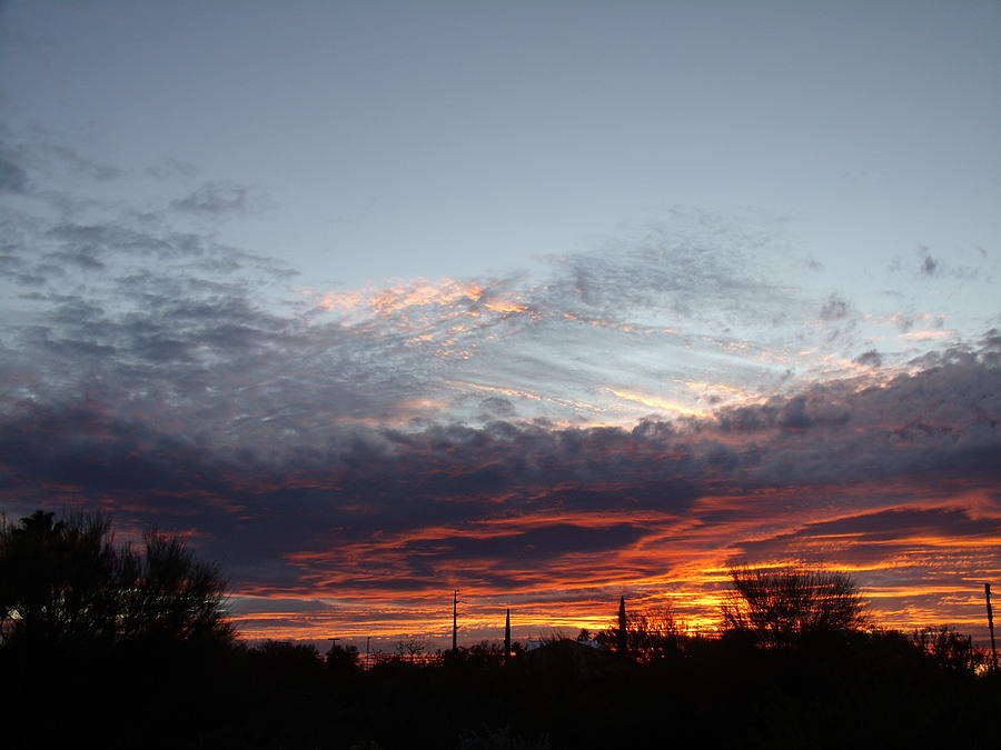 Sunset Photograph by David S Reynolds