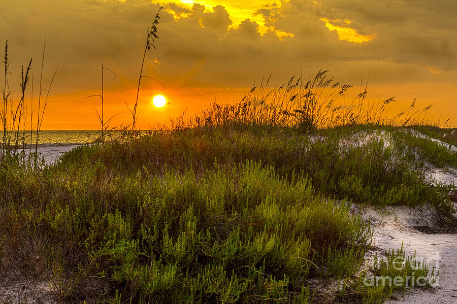 Sunset Photograph - Sunset Dunes by Marvin Spates