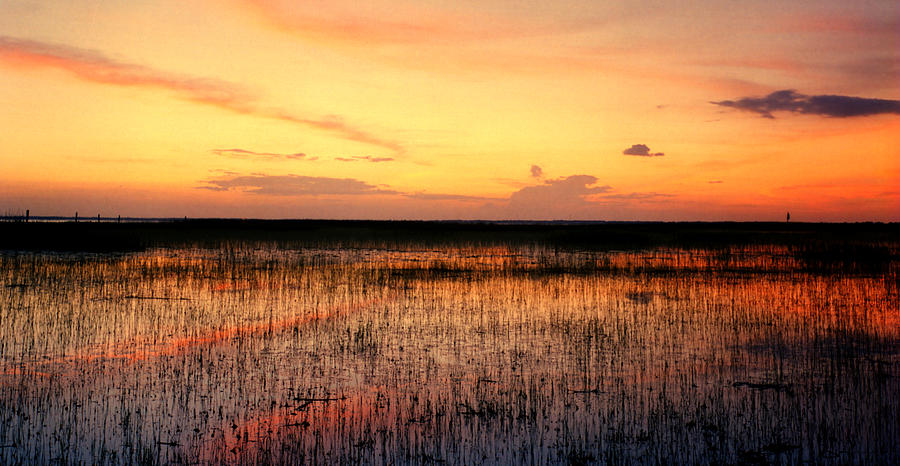 Sunset. East Lake Toho. Photograph by Chris  Kusik