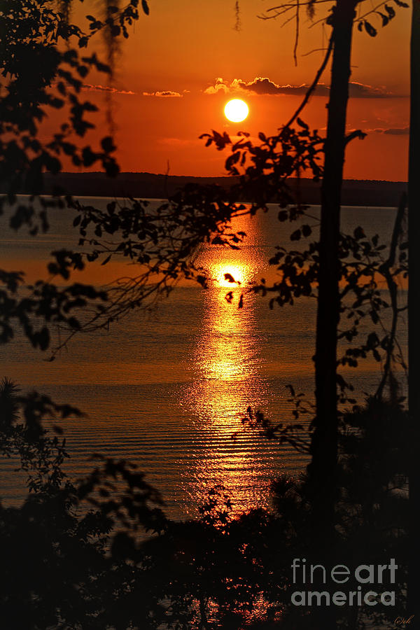 Sunset Finale Photograph by Ella Kaye Dickey