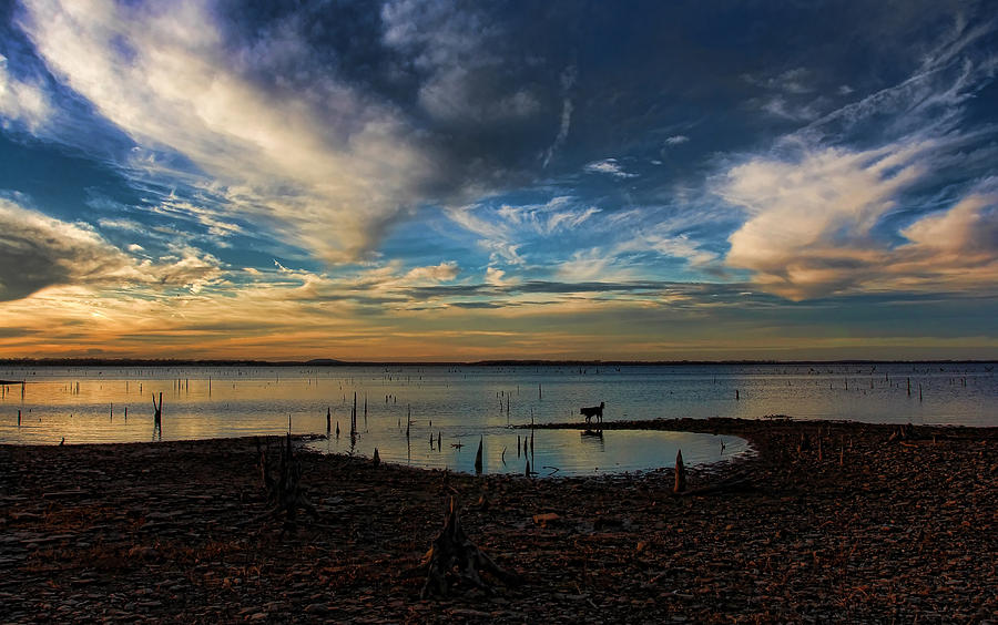 Sunset Photograph - Sunset Fishing  Hot Dogggg by Carolyn Fletcher