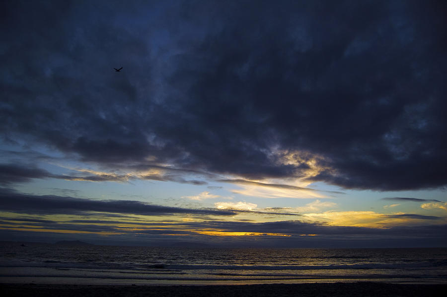 Sunset Photograph - Sunset Flight by Mitch Boyce