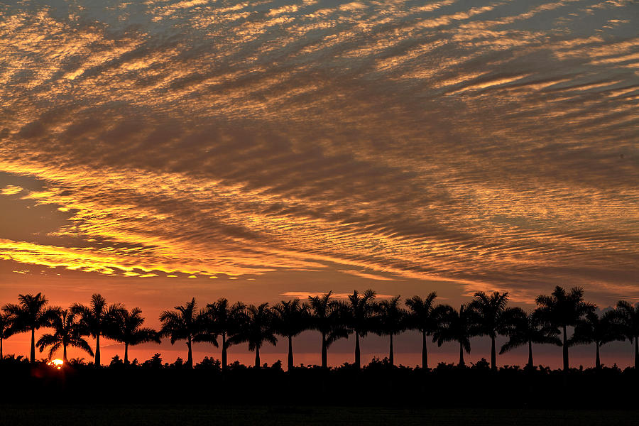 Sunset Florida Photograph by Matthew Pace