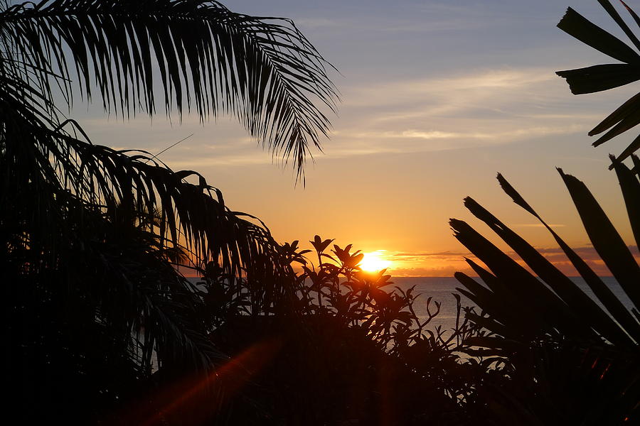 Sunset from Terrace - St. Lucia Photograph by Nora Boghossian