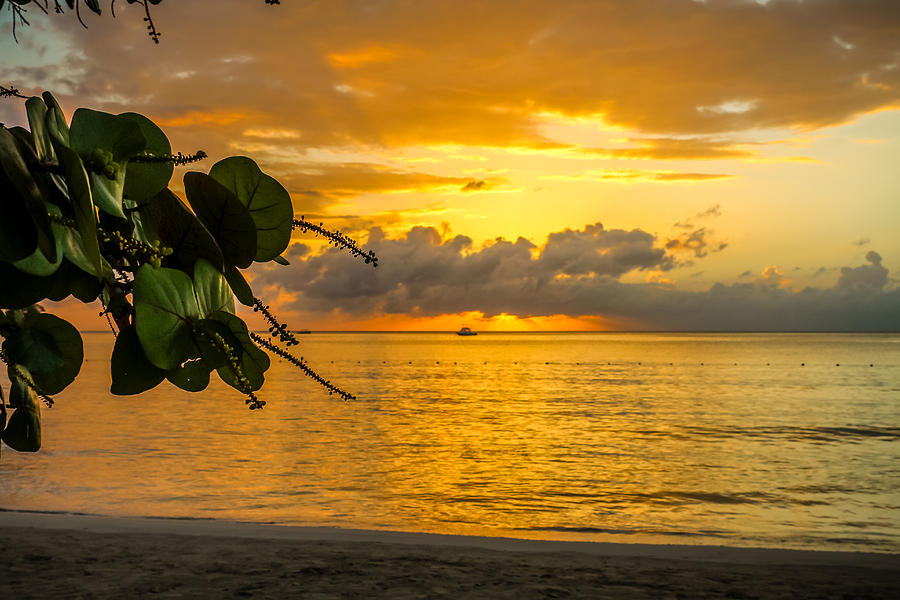 Sunset Fruit Photograph By Todd Reese - Fine Art America