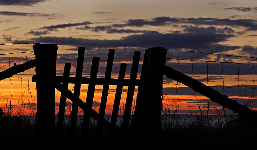 Sunset Gate Photograph by Inge Riis McDonald