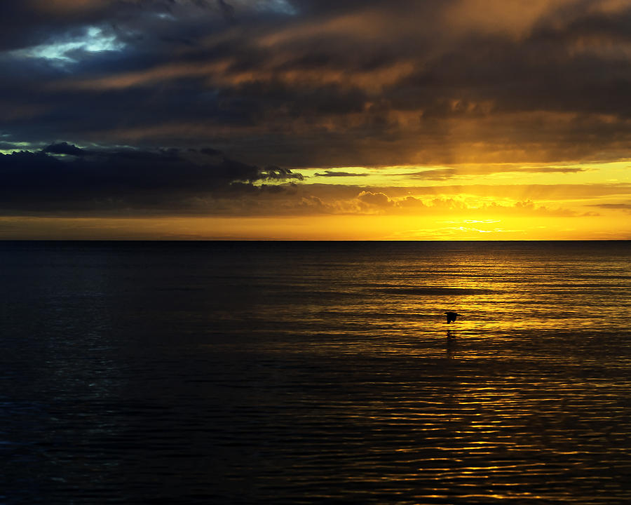 Sunset Glory Photograph by Vicki Jauron Fine Art America