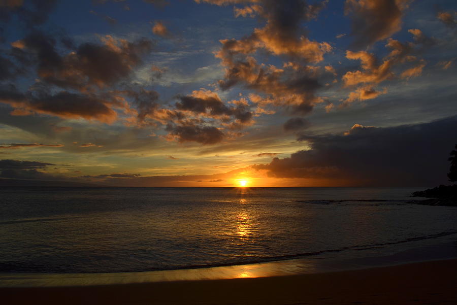 Sunset Glow Photograph by Carole Brammer - Fine Art America