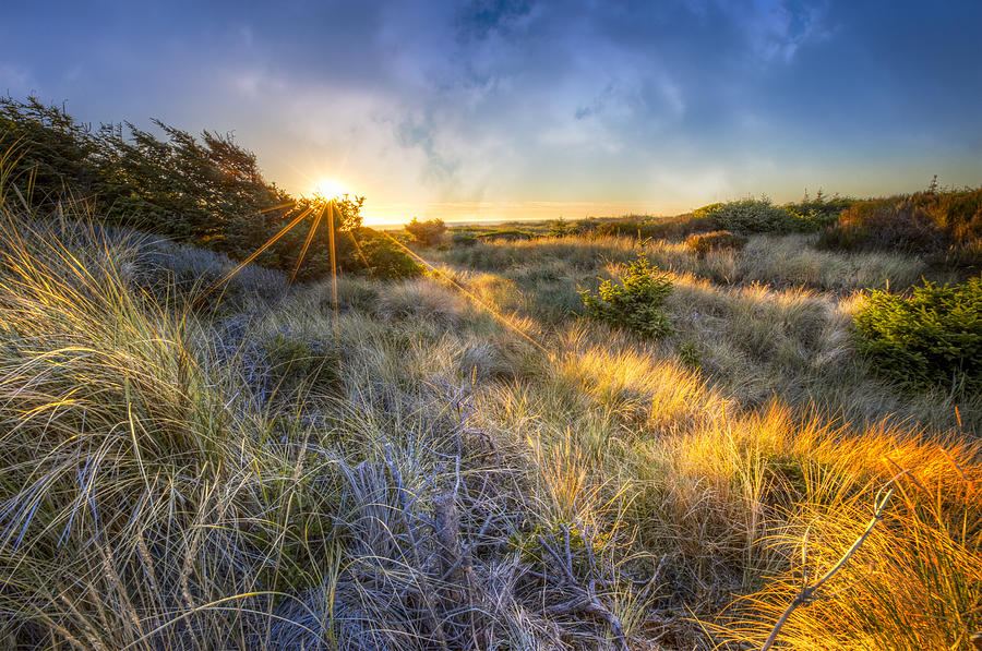 Sunset Glow on the Dunes Photograph by Debra and Dave Vanderlaan