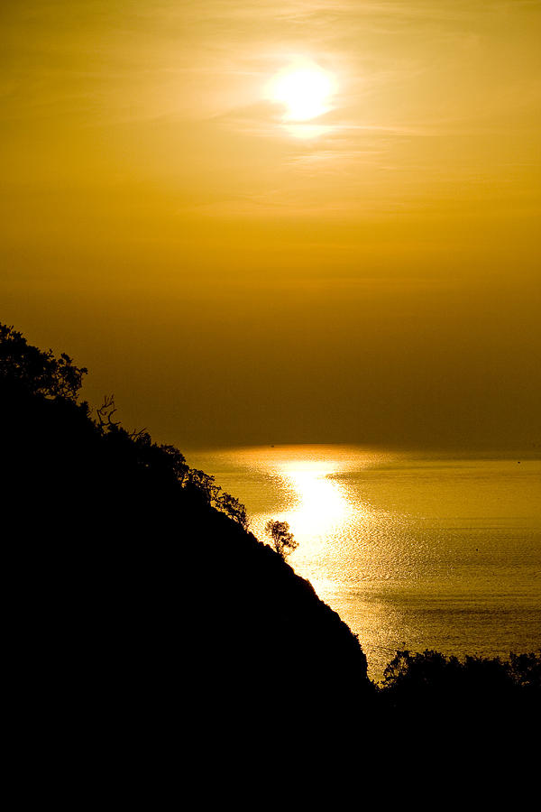 Sunset golden color with tree Photograph by Raimond Klavins