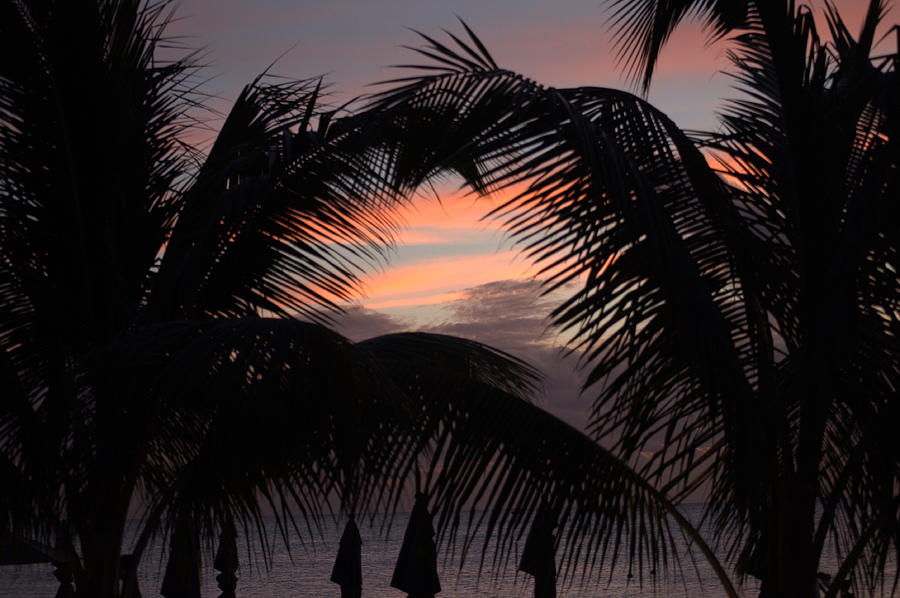 Sunset Grand Cayman Photograph by Caroline Stella