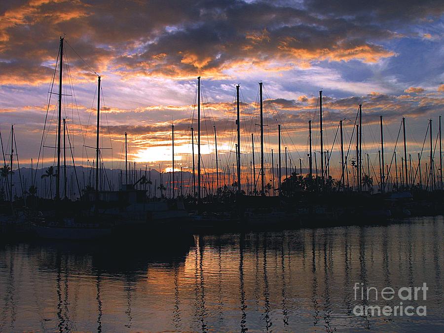 Sunset Harbor Photograph by Elizabeth Winter
