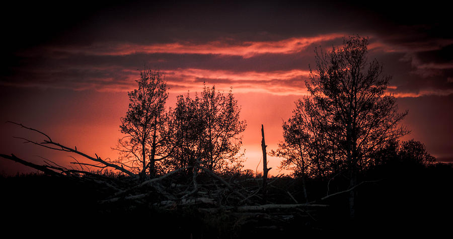Farm Photograph - Sunset Harvest by Linda Rich