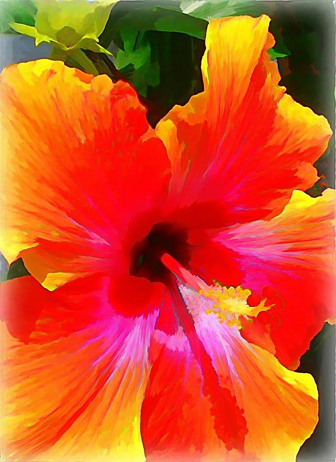 georgia o keeffe hibiscus