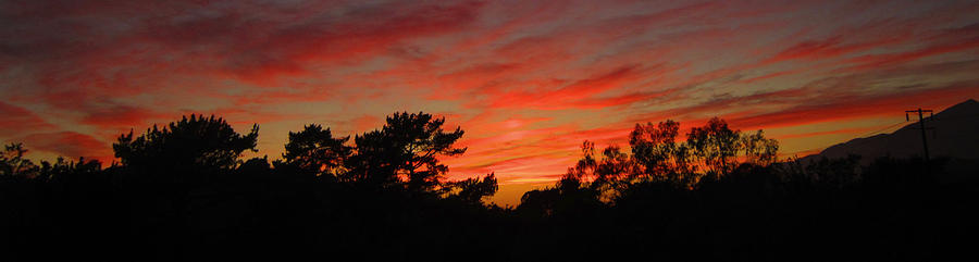 Sunset Horizon  Photograph by Steve Fields