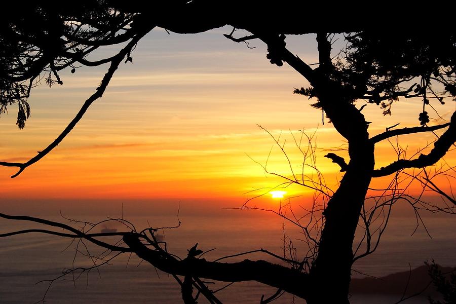 Sunset in a Tree Frame Photograph by Alexander Fedin