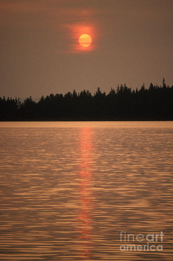 Sunset In Alaska Photograph by Ron Sanford