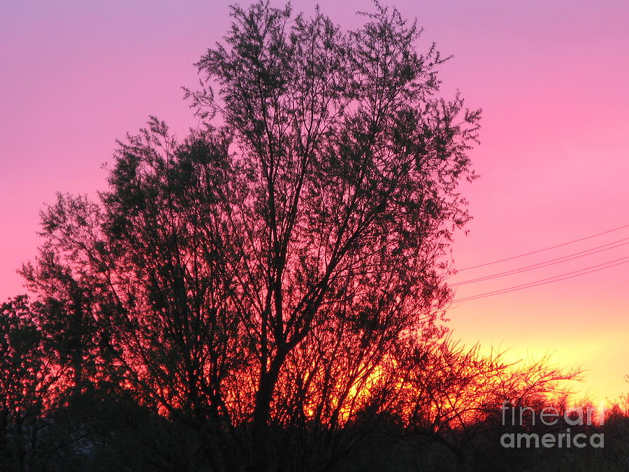 Sunset Photograph - Sunset in April- Silute Lithuania by Ausra Huntington nee Paulauskaite