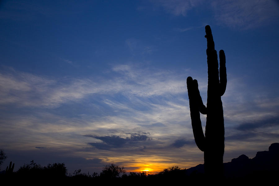 Sunset in Arizona Photograph by Sue Cullumber
