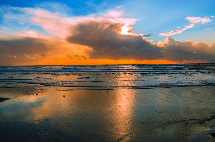 Sunset in Barra Beach Photograph by Alexandre Martins - Fine Art America