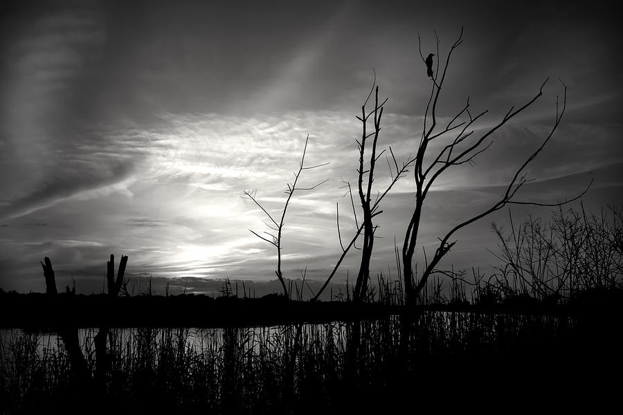 Sunset In Black And White Photograph by Mark Andrew Thomas