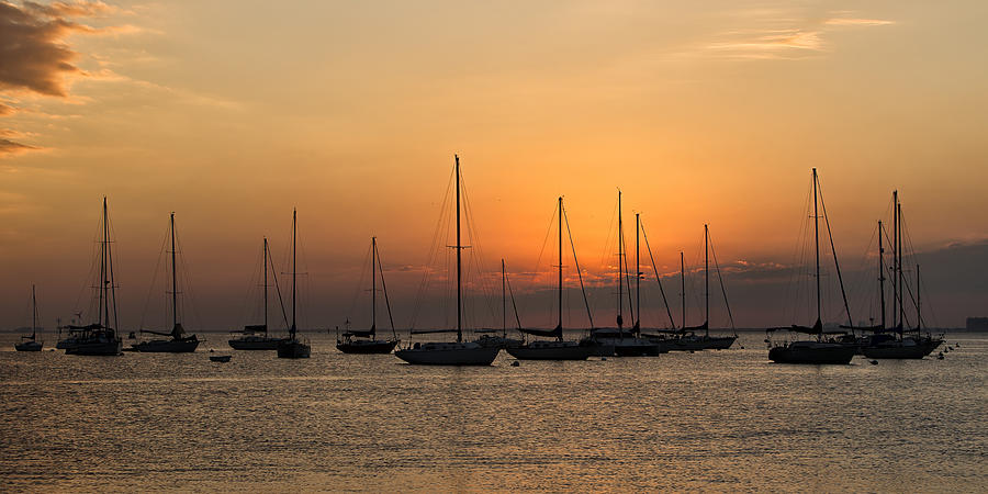 Sunset in Crandon Park Marina Photograph by Alex Galiano - Fine Art America