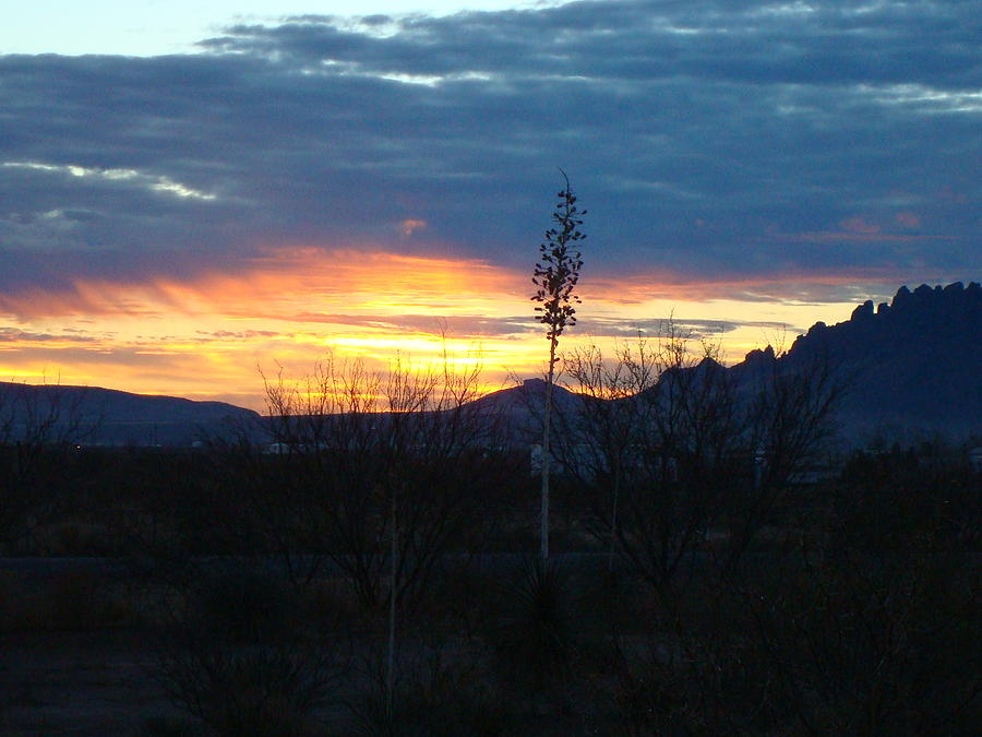 Sunset in Deming NM Photograph by Susan Woodward