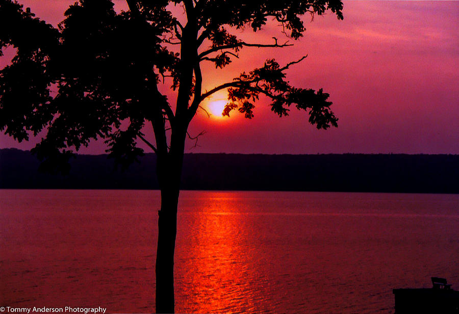 Sunset in Door County Photograph by Tommy Anderson