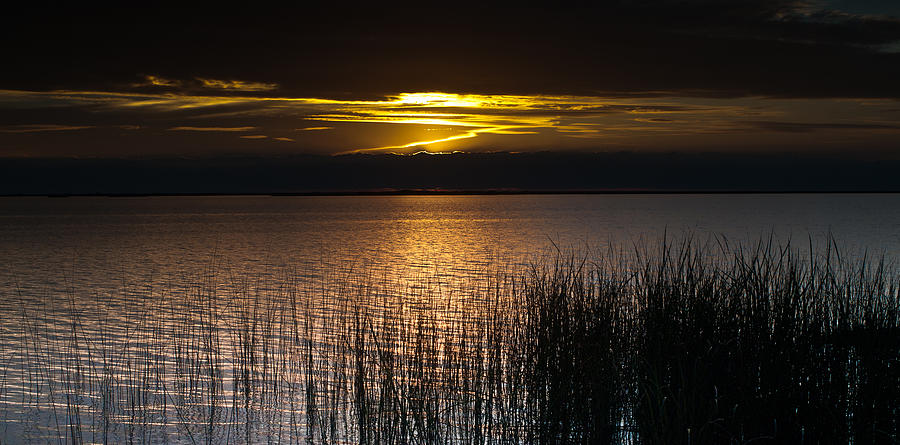 Sunset Photograph - Sunset in Ibera Lake by Carlos V Bidart