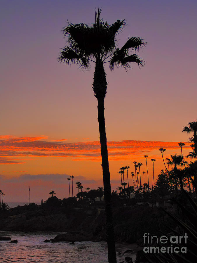 Sunset in Laguna Beach Photograph by Mariola Bitner