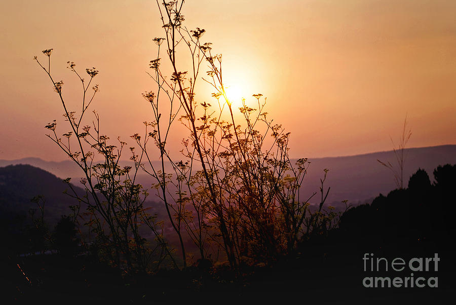 Sunset Photograph - Sunset in Le Castellet in France by Maja Sokolowska