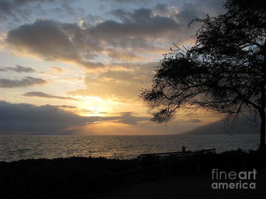 Sunset in Maui 3  Photograph by Michael Krek