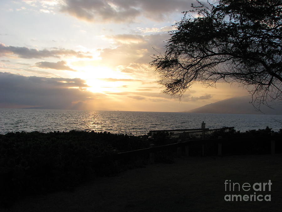 Sunset in Maui Photograph by Michael Krek