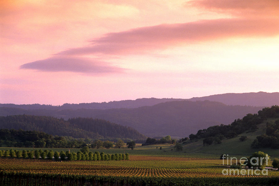 Sunset In Napa Valley, California Photograph by Bill Bachmann