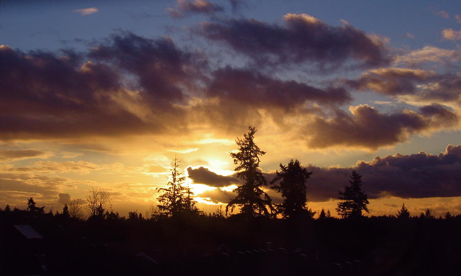 Sunset in Northwest  Photograph by Kazumi Whitemoon