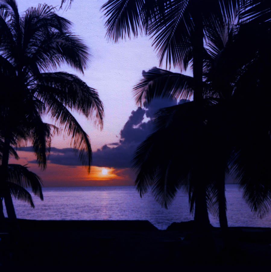Sunset In Paradise Photograph