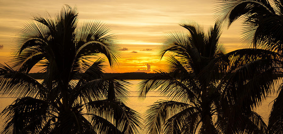 Sunset in Paradise Photograph by Sean Allen