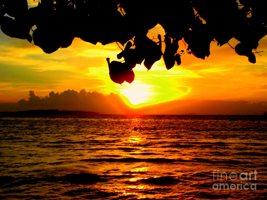 Sunset Painting - Sunset in Sorong by Jason Sentuf