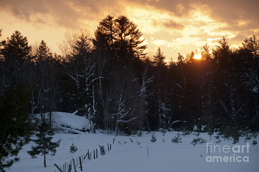 Sunset in the Big Winter Woods Photograph by Cheryl Baxter