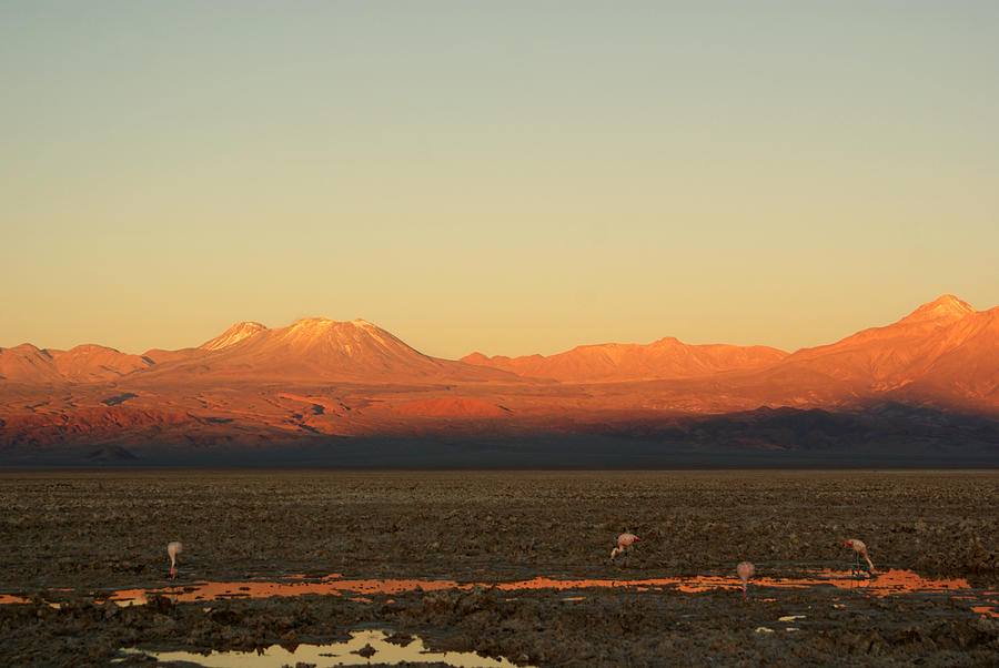 Sunset In The Desert - Atacama - Chile Photograph by Lelia Valduga
