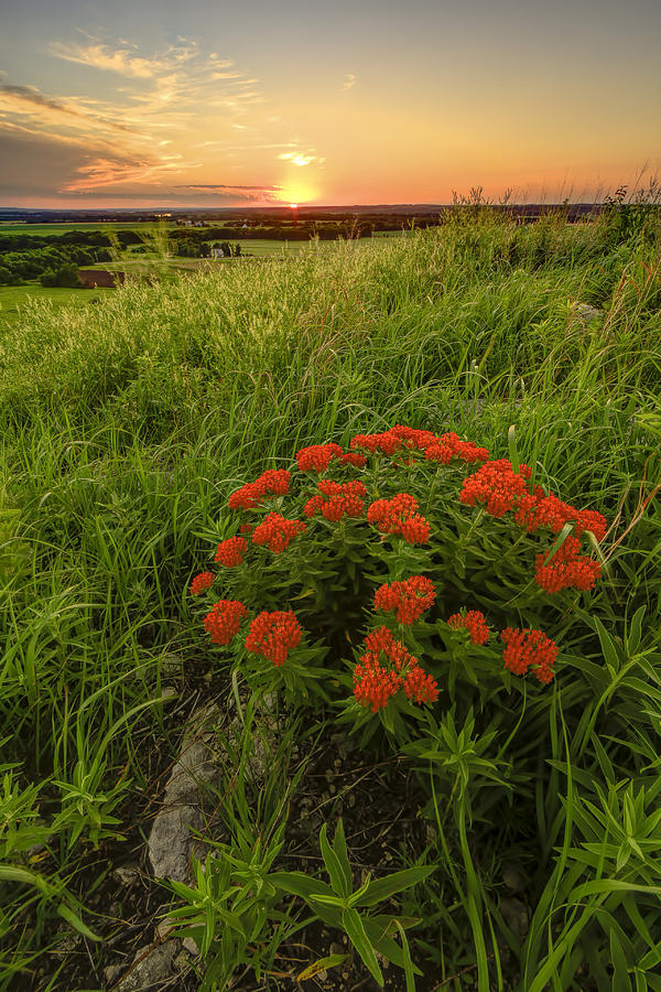 Sunset In The Flint Hills Photograph By Scott Bean