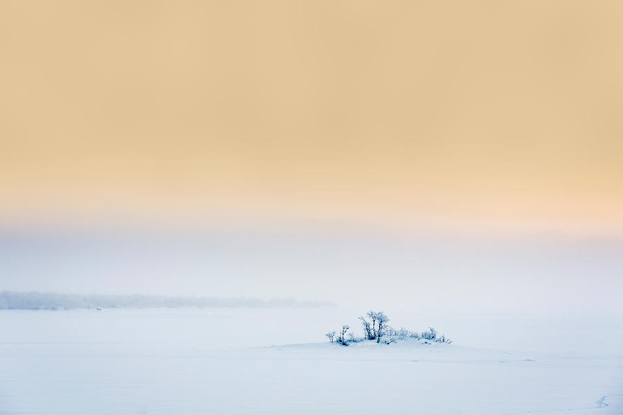 Sunset In The Frozen Landscape, Cold Photograph by Panoramic Images