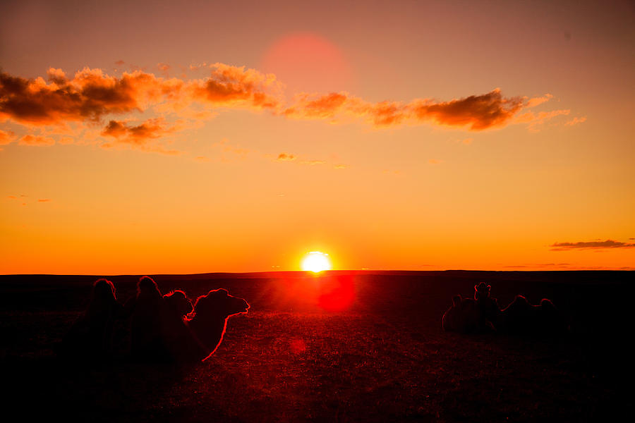 Sunset In The Gobi Desert Photograph By Solveig Boergen Pixels