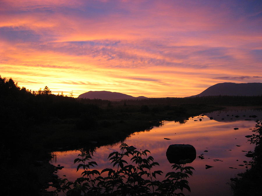 Sunset in the Maine Bog 2 Photograph by Nina Kindred