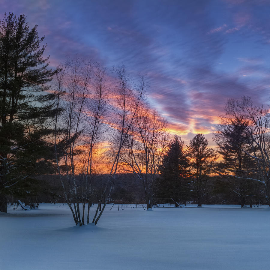 Sunset Photograph - Sunset In the Park Square by Bill Wakeley